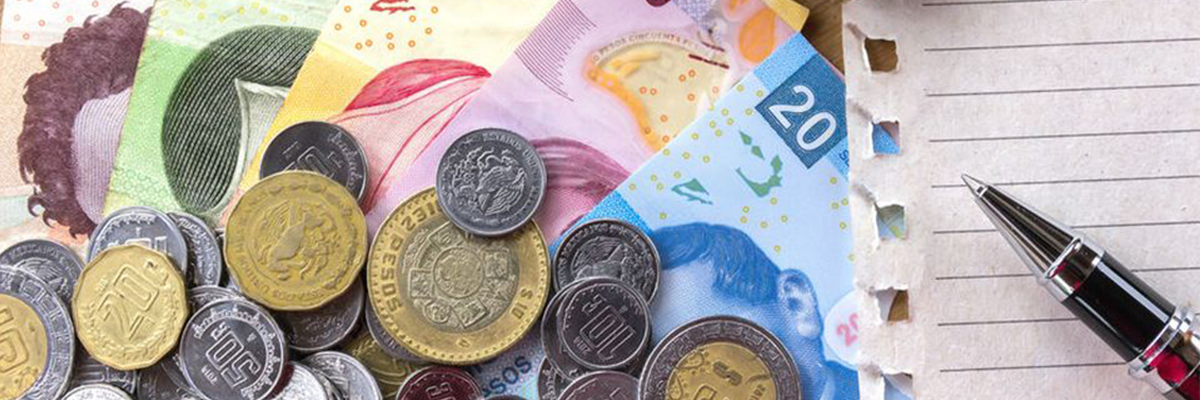 Guía definitiva para ...