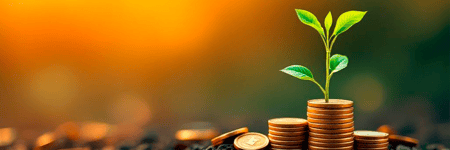 Cómo invertir con 1 millón de pesos en México